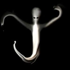 Meet your Posher, Faddedghosts